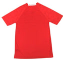 NHL Fanatics Men's T-Shirt Detroit Red Wings Mission Crew neck Tee Red Small