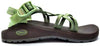 Bracken Celadon